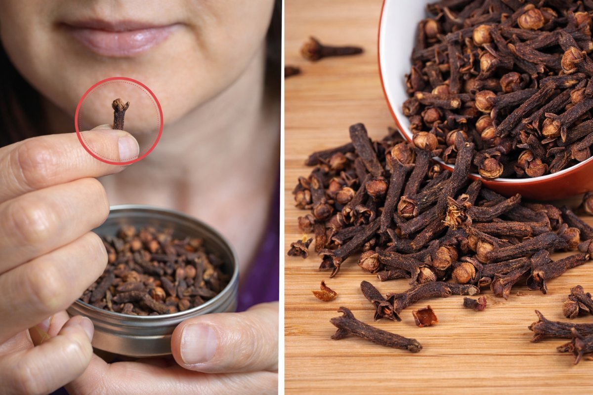 Скільки гвоздики можна жувати на день Скільки гвоздики можна жувати на день